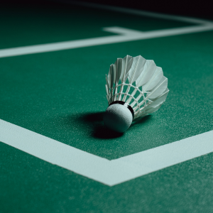 Untitled (300 x 300 px) (14)