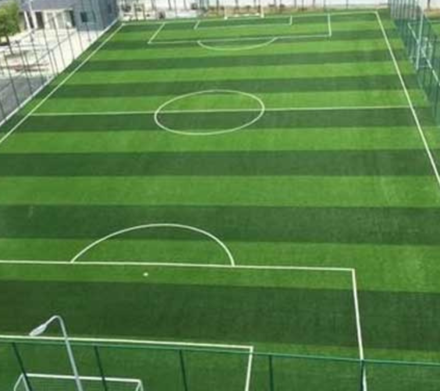 Untitled (1024 x 1024 px) (6)