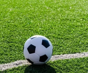 synthetic-artificial-sport-grass-500×500 synthetic-artificial-sport-grass-500x500